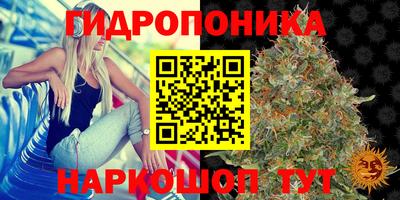 метадон Ачхой-Мартан