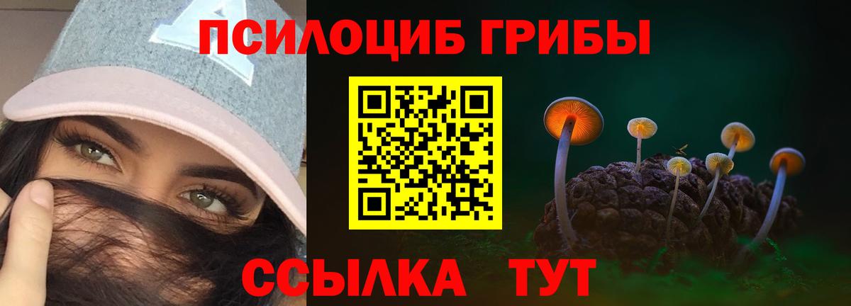Донской  Галлюциногенные грибы ЛСД  Вход с VPN 